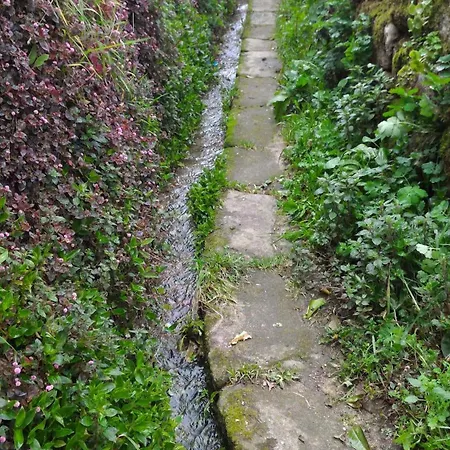 Villa Casa Do Sobrado Byalta