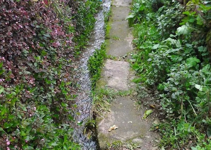 Villa Casa Do Sobrado Byalta